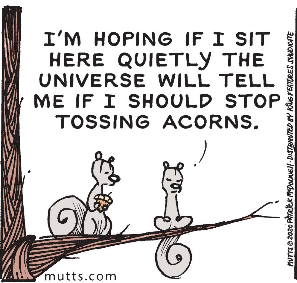 Happy OCR: I'M HOPING IF I SIT HERE QUIETLY THE UNIVERSE WILL TELL ME IF I SHOULD STOP TOSSING ACORNS. mutts.com MUTTSO 2020 PTRCKMDONEll DISTRIBUTED BY KING FEATORES SYNDICATE I'M HOPING IF I SIT HERE QUIETLY THE UNIVERSE WILL TELL ME IF I SHOULD STOP TOSSING ACORNS. mutts.com MUTTSO 2020 PTRCKMDONEll DISTRIBUTED BY KING FEATORES SYNDICATE