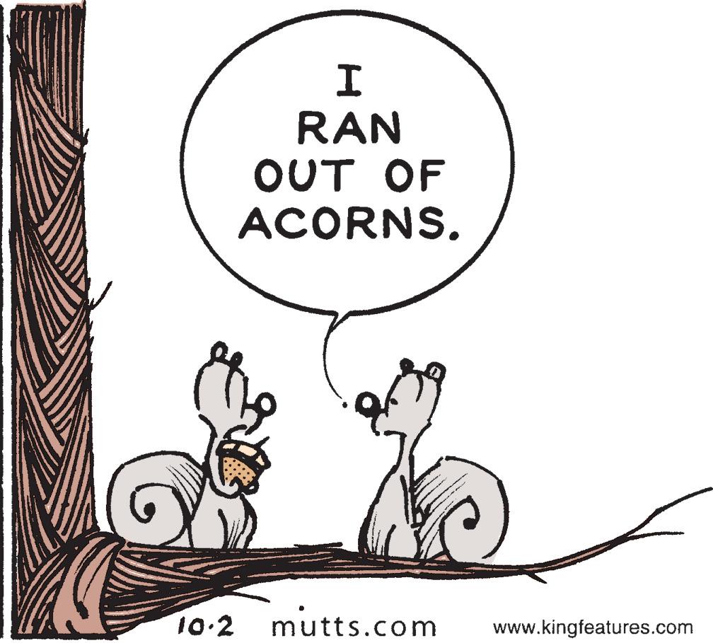 Wildlife OCR: RAN OUT OF ACORNS. 10.2 mutts.com www.kingfeatures.com RAN OUT OF ACORNS. 10.2 mutts.com www.kingfeatures.com