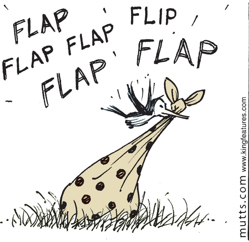 Illustration OCR: FLAP FLAP FLAP FLIPFLAP FLAP' mutts.com www.kingfeatures.com FLAP FLAP FLAP FLIPFLAP FLAP' mutts.com www.kingfeatures.com