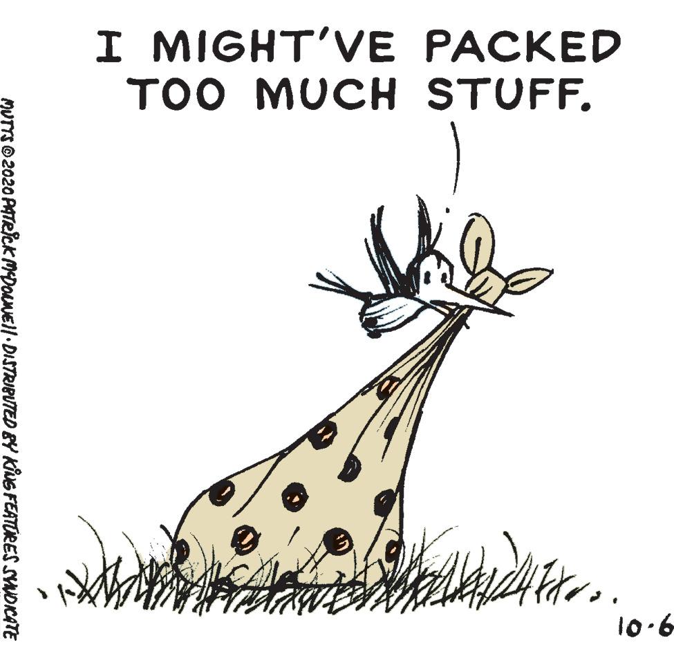 Tail OCR: I MIGHT'VE PACKED TOO MUCH STUFF. 10.6 MUTTS © 2020 PATRICK MDOaNEll DISTRIBUTED BY KiNG FEATURES SYNDICATE I MIGHT'VE PACKED TOO MUCH STUFF. 10.6 MUTTS © 2020 PATRICK MDOaNEll DISTRIBUTED BY KiNG FEATURES SYNDICATE