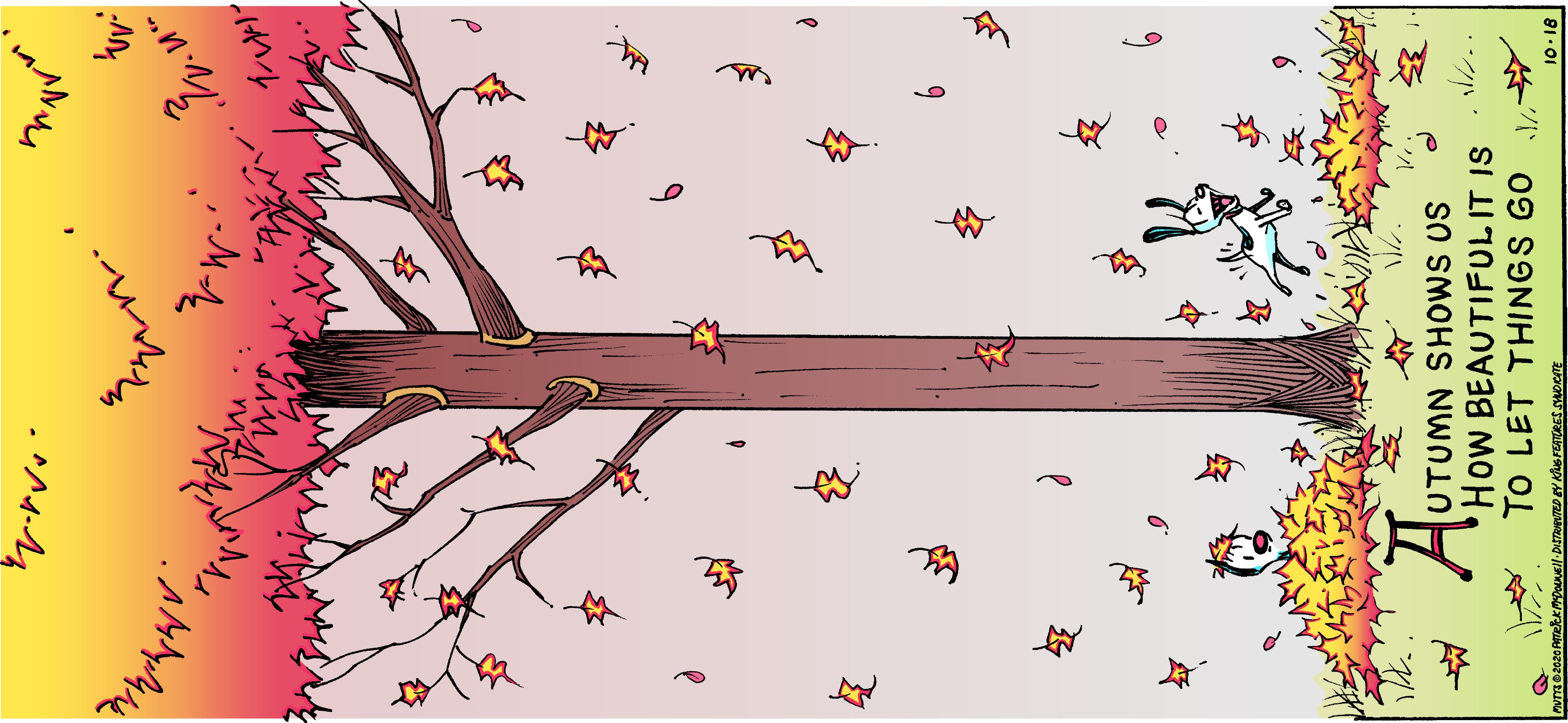 Clip art OCR: UTUMN SHOWS US How BEAUTIFULIT IS To LET THINGS GO ?? 81. 01 UTUMN SHOWS US How BEAUTIFULIT IS To LET THINGS GO ?? 81. 01