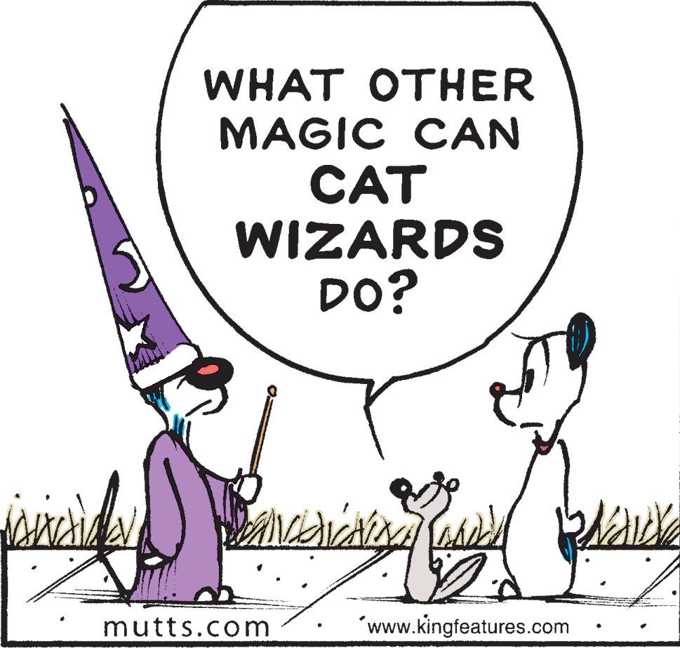 Art OCR: WHAT OTHER MAGIC CAN CAT WIZARDS DO? mutts.com 'www.kingfeatures.com WHAT OTHER MAGIC CAN CAT WIZARDS DO? mutts.com 'www.kingfeatures.com