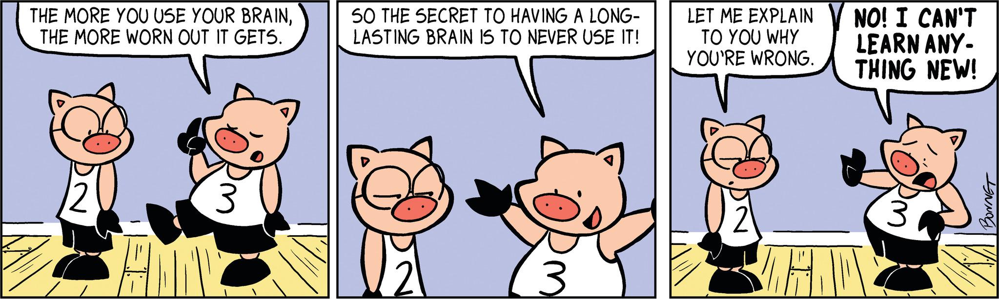 Rectangle OCR: THE MORE YOU USE YOUR BRAINTHE MORE WORN OUT IT GETS. AMOY SO THE SECRET TO HAVING A LONG- LASTING BRAIN IS TO NEVER USE IT! 3 LET ME EXPLAIN TO YOU WHY YOU'RE WRONG. 21 NO! I CAN'T LEARN ANY- THING NEW! Rm BONNET THE MORE YOU USE YOUR BRAINTHE MORE WORN OUT IT GETS . AMOY SO THE SECRET TO HAVING A LONG LASTING BRAIN IS TO NEVER USE IT ! 3 LET ME EXPLAIN TO YOU WHY YOU'RE WRONG . 21 NO ! I CAN'T LEARN ANY THING NEW ! Rm BONNET