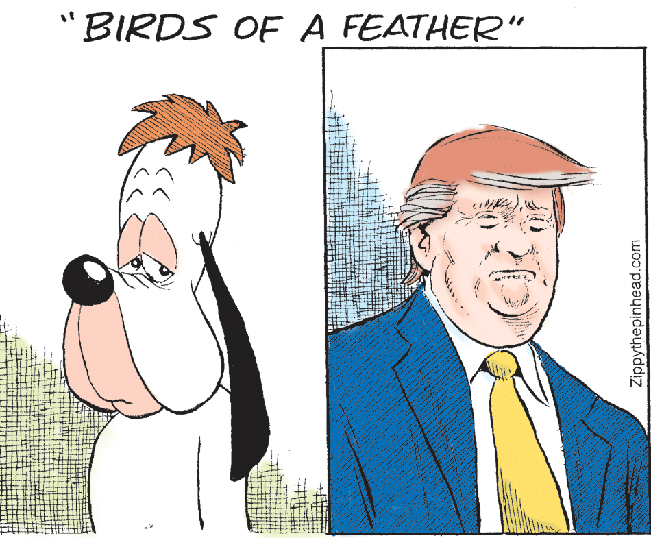 Human body OCR: "BIRDS OF A FEATHER" Zippythepinhead.com "BIRDS OF A FEATHER" Zippythepinhead.com
