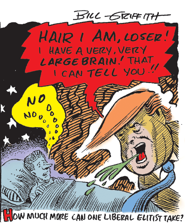 Graphic design OCR: BILLGTRIF# ITH HAIR I AMLOSER 1 HAVE A VERYVERY LARGE BRAIN! THAT I CAN TELL yOU.! NO NO THOW MUCH MORE CAN ONE LIBERAL ELITIST TAKE? BILLGTRIF# ITH HAIR I AMLOSER 1 HAVE A VERYVERY LARGE BRAIN! THAT I CAN TELL yOU.! NO NO THOW MUCH MORE CAN ONE LIBERAL ELITIST TAKE?
