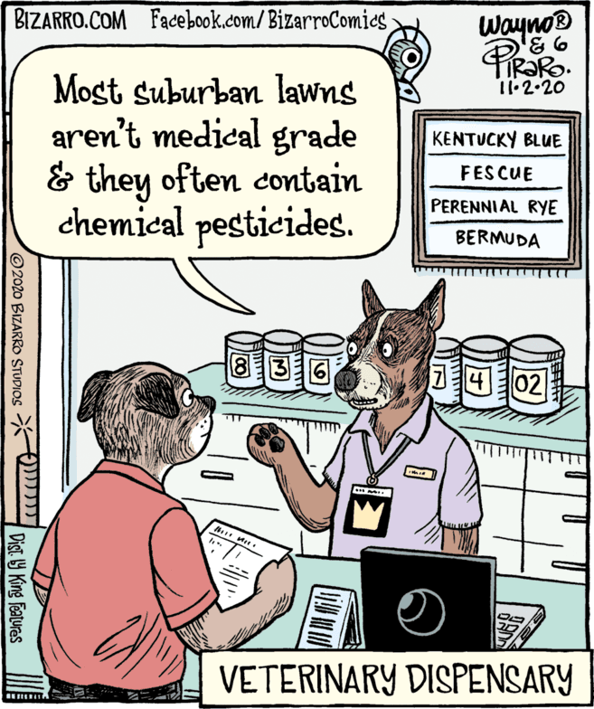 Gesture OCR: BIZARRO.COM Facdebook.com/ BizarroComies Wayno Most suburban lawns aren't medical grade & they often contain chemical pesticides. 11.2.20 KENTUCKY BLUE FESCUE PERENNI AL RYE BERMUDA 8 36 ? 02 VETERINARY DISPENSARY @2020 BIZARRO STUPIOS ) Dist Y King Features BIZARRO.COM Facdebook.com/ BizarroComies Wayno Most suburban lawns aren't medical grade & they often contain chemical pesticides. 11.2.20 KENTUCKY BLUE FESCUE PERENNI AL RYE BERMUDA 8 36 ? 02 VETERINARY DISPENSARY @2020 BIZARRO STUPIOS ) Dist Y King Features
