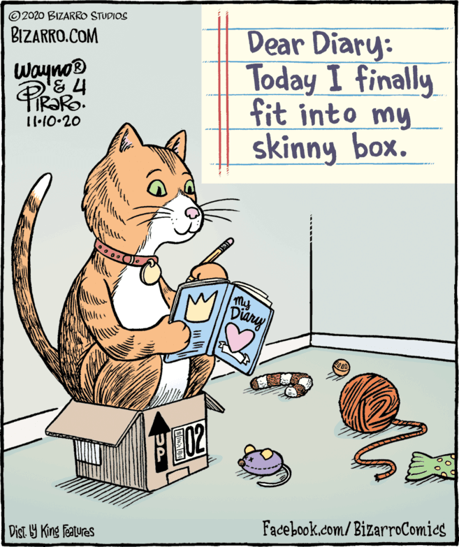 Small to medium-sized cats OCR: Dear Diary: Today I finally fit into my skinny box. ©2020 BIZARRO STUDIOS BIZARRO.COM Wayno® 1·10•20 my Diary Facebook.com/BizarroComics Dist Y King Features Dear Diary: Today I finally fit into my skinny box. ©2020 BIZARRO STUDIOS BIZARRO.COM Wayno® 1·10•20 my Diary Facebook.com/BizarroComics Dist Y King Features
