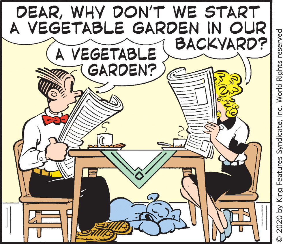 Humour OCR: DEARWHY DON'T WE START A VEGETABLE GARDEN IN OUR BACKYARD? A VEGETABLE GARDEN? O 2020 by King Features SyndicateInc. World Rights reserved DEARWHY DON'T WE START A VEGETABLE GARDEN IN OUR BACKYARD? A VEGETABLE GARDEN? O 2020 by King Features SyndicateInc. World Rights reserved