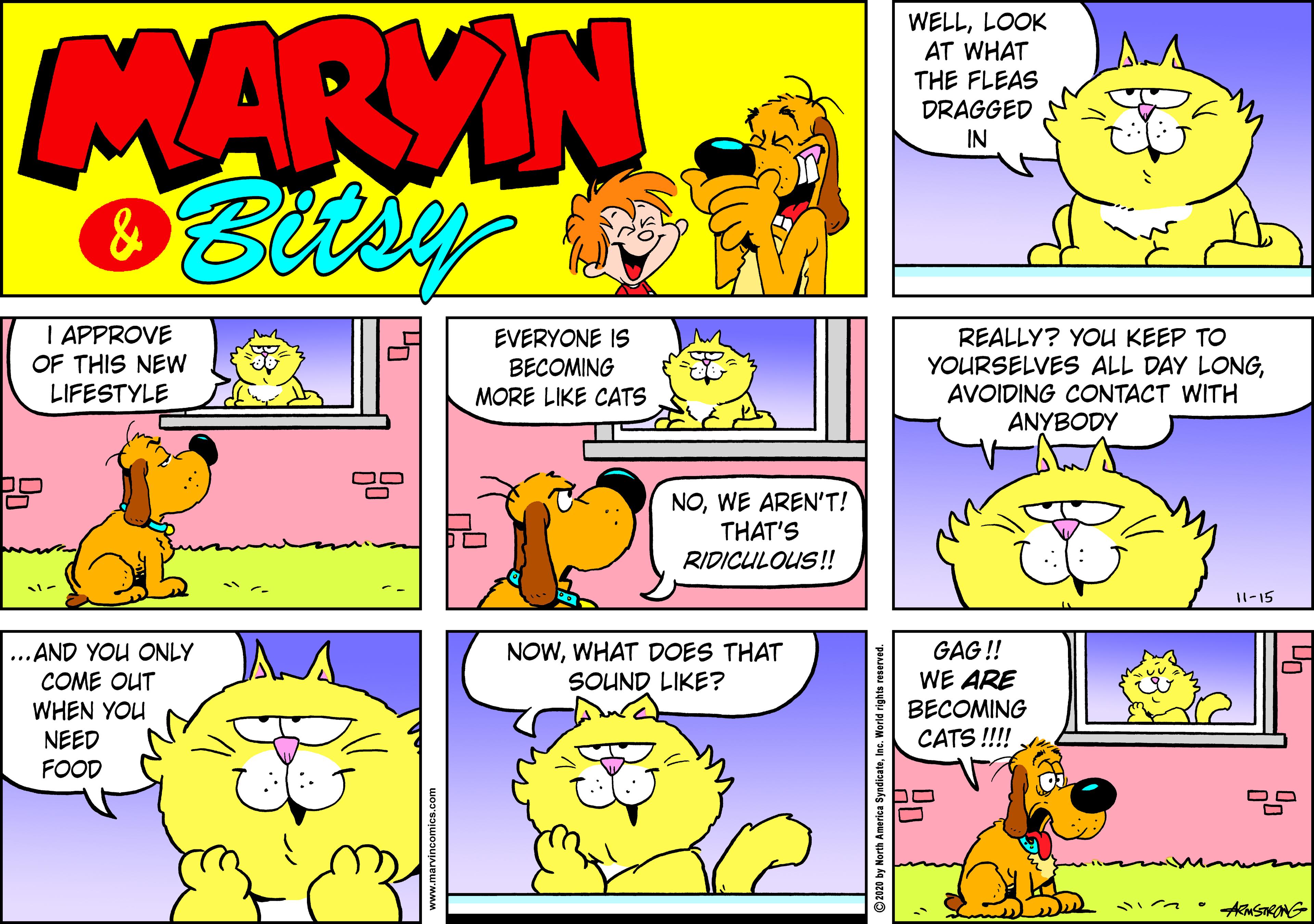 Animated cartoon OCR: MARVIN WELLLOOK AT WHAT THE FLEAS DRAGGED IN I APPROVE REALLY? YOU KEEP TO YOURSELVES ALL DAY LONGAVOIDING CONTACT WITH EVERYONE IS OF THIS NEW BECOMING LIFESTYLE MORE LIKE CATS ANYBODY NOWE AREN'T! THAT'S RIDICULOUS! I1-15 ... AND YOU ONLY COME OUT WHEN YOU NEED GAG ! WE ARE BECOMING NOWWHAT DOES THAT SOUND LIKE? CATS !!!! FOOD ? a ©20 by North America SyndicateInc. World rights reserved MARVIN WELLLOOK AT WHAT THE FLEAS DRAGGED IN I APPROVE REALLY? YOU KEEP TO YOURSELVES ALL DAY LONGAVOIDING CONTACT WITH EVERYONE IS OF THIS NEW BECOMING LIFESTYLE MORE LIKE CATS ANYBODY NOWE AREN'T! THAT'S RIDICULOUS! I1-15 ... AND YOU ONLY COME OUT WHEN YOU NEED GAG ! WE ARE BECOMING NOWWHAT DOES THAT SOUND LIKE? CATS !!!! FOOD ? a ©20 by North America SyndicateInc. World rights reserved