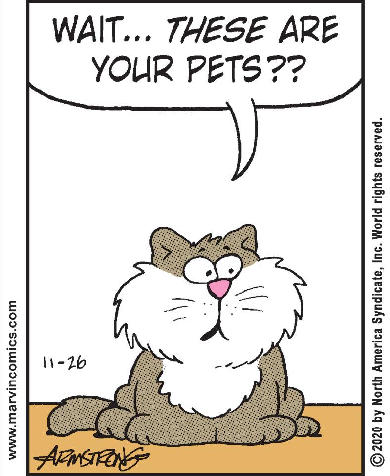 Illustration OCR: WAIT... THESE ARE YOUR PETS?? 11-26 www.marvincomics.com © 2020 by North America SyndicateInc. World rights reserved. WAIT... THESE ARE YOUR PETS?? 11-26 www.marvincomics.com © 2020 by North America SyndicateInc. World rights reserved.