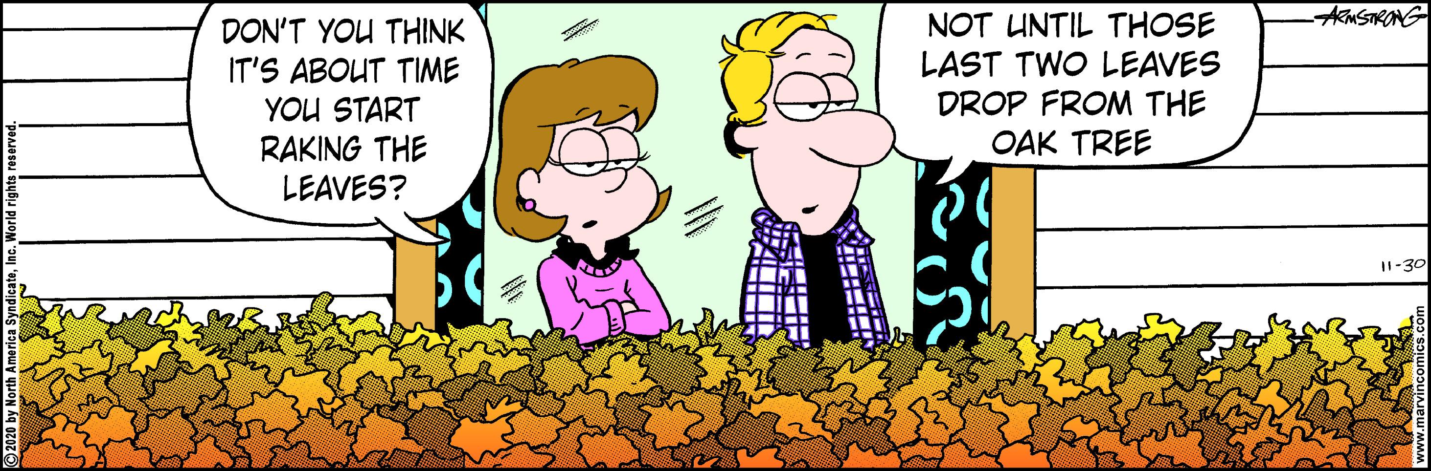 Graphics OCR: DON'T YOU THINK IT'S ABOUT TIME YOU START RAKING THE LEAVES? NOT UNTIL THOSE LAST TWO LEAVES DROP FROM THE OAK TREE I1-30 DON'T YOU THINK IT'S ABOUT TIME YOU START RAKING THE LEAVES? NOT UNTIL THOSE LAST TWO LEAVES DROP FROM THE OAK TREE I1-30