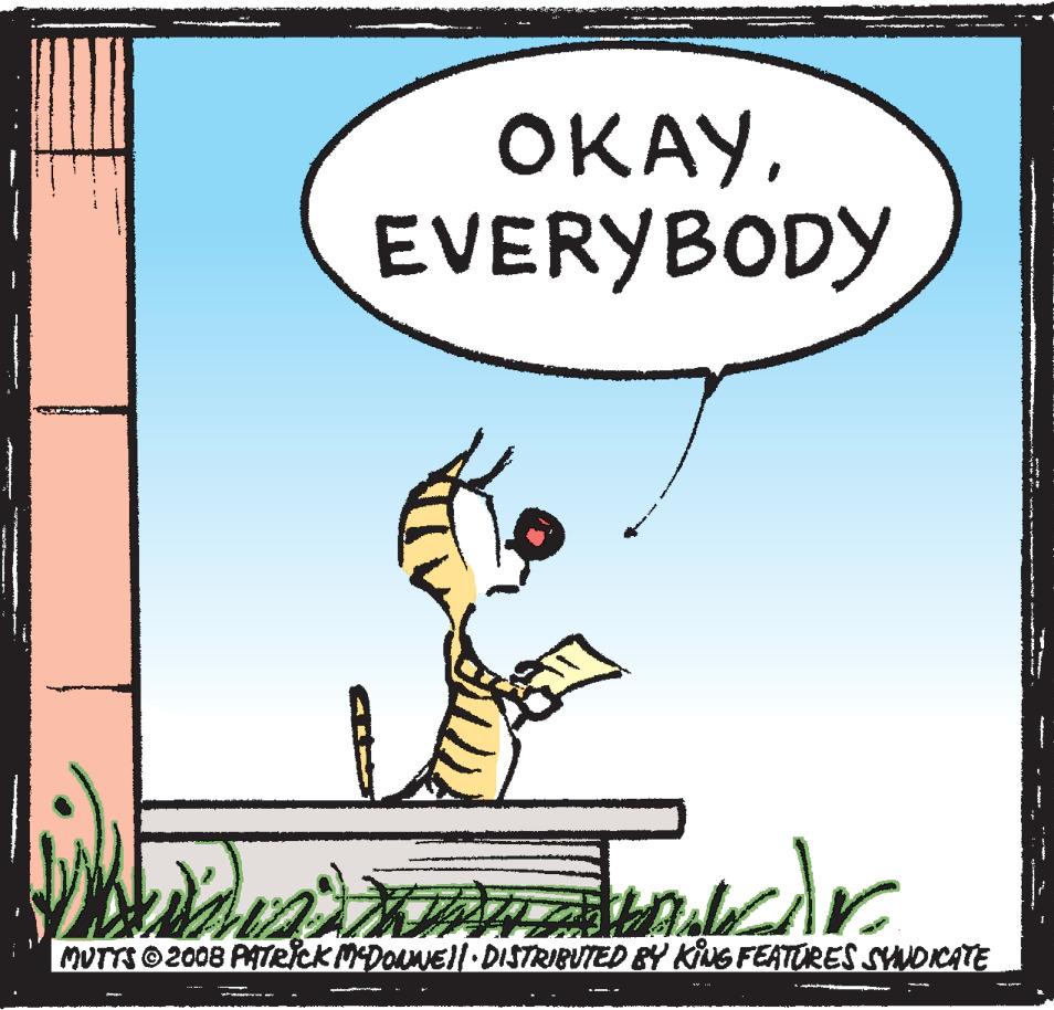 Fictional character OCR: OKAYEVERYBODY MUTTS 2008 PATRICK MDONNEI/ DISTRIBUTED BY KiNG FEATORES SYNDICATE -- OKAYEVERYBODY MUTTS 2008 PATRICK MDONNEI/ DISTRIBUTED BY KiNG FEATORES SYNDICATE --