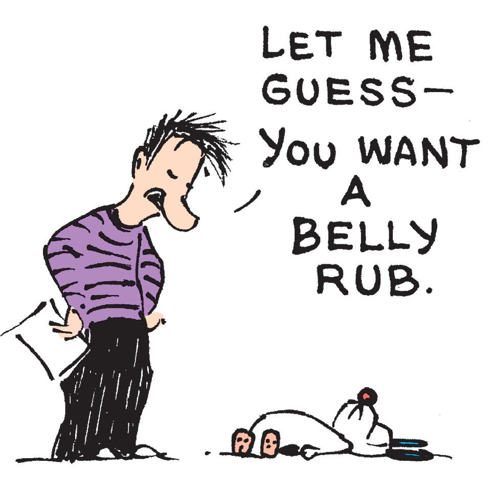 Graphics OCR: LET ME GUESS- You WANT A BELLY RUB. LET ME GUESS- You WANT A BELLY RUB.