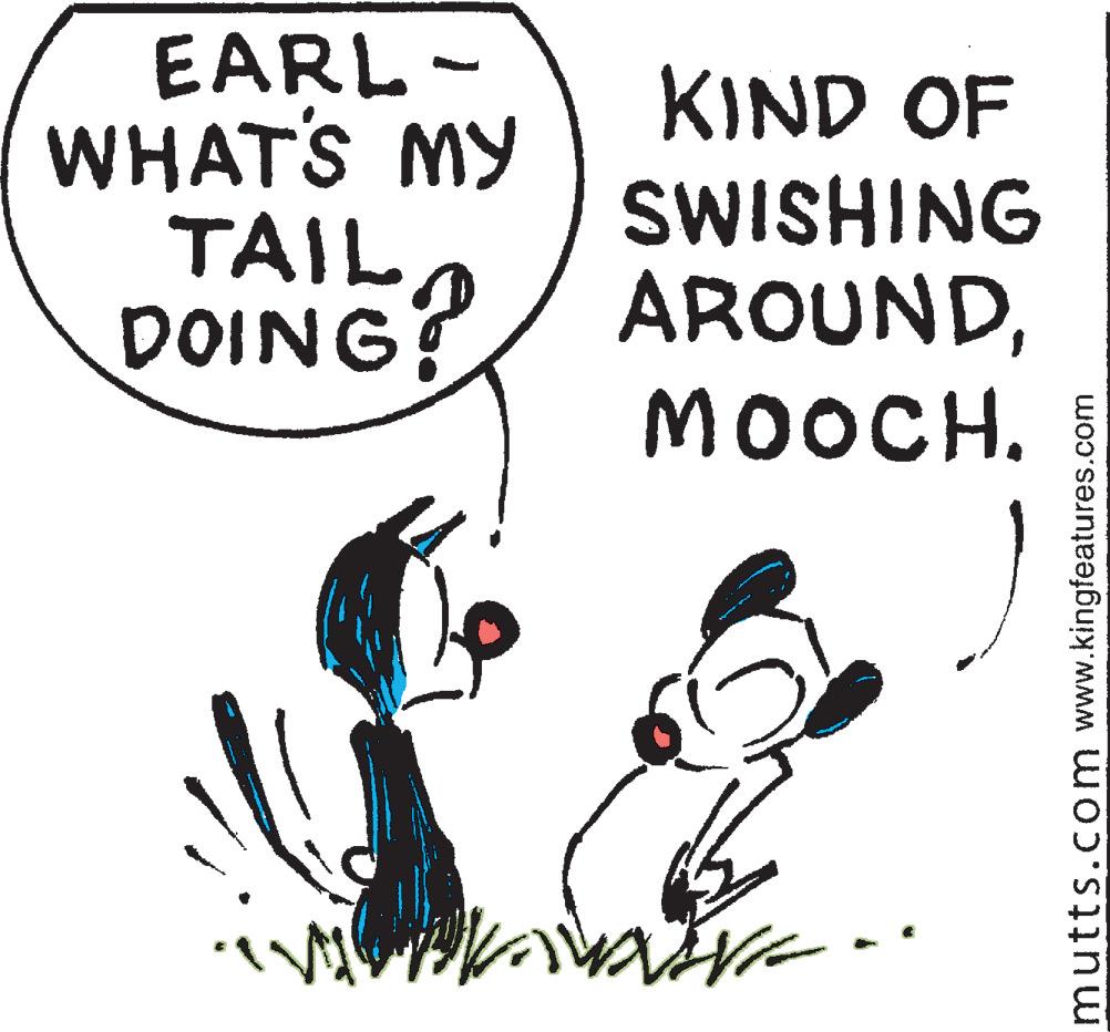 Art OCR: EARL- WHAT'S MY TAILA DOING? KIND OF SWISHING AROUNDMOOCH. I mutts.com www.kingfeatures.com EARL- WHAT'S MY TAILA DOING? KIND OF SWISHING AROUNDMOOCH. I mutts.com www.kingfeatures.com