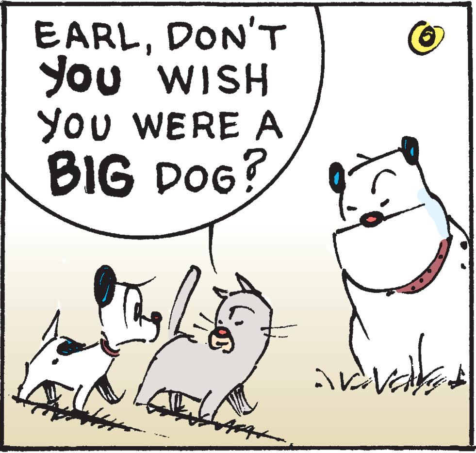 Carnivore OCR: EARLDON'T You WISH You WERE A BIG DOG? EARLDON'T You WISH You WERE A BIG DOG?