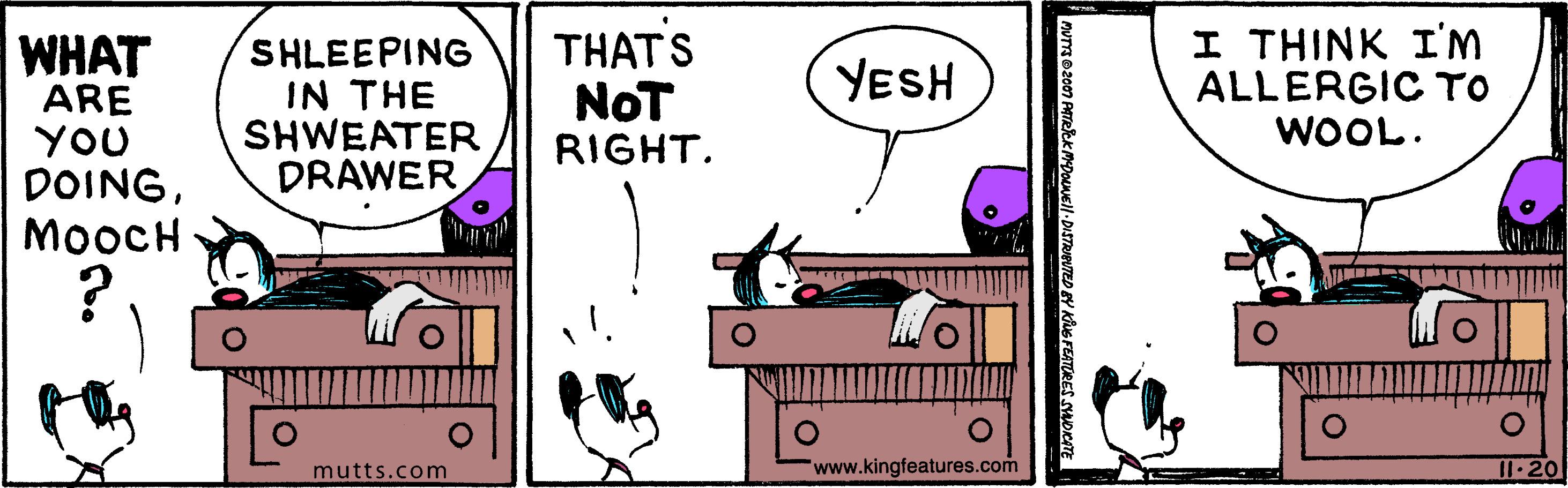 Organism OCR: WHAT ARE YOU DOINGMooCH SHLEEPING IN THE SHWEATER DRAWER THATS NOT RIGHT. I THINK I'M ALLERGIC TO WOOL. YESH mutts.com "www.kingfeatures.com I1 20 mpouNEll-DISTRIENTED BY KuG FEATORES SHoKm WHAT ARE YOU DOINGMooCH SHLEEPING IN THE SHWEATER DRAWER THATS NOT RIGHT. I THINK I'M ALLERGIC TO WOOL. YESH mutts.com "www.kingfeatures.com I1 20 mpouNEll-DISTRIENTED BY KuG FEATORES SHoKm