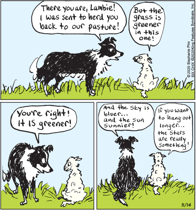 Livestock OCR: There you areLambie! But the grass is greener in this one! I was sent to herd you back to our pasture! Youre right! It IS greener! And the Sky is bluer... and the Sun Sunnier! If you want to hang out longer... the Stars are really Something! 11/14 © 2020 Stephanie Piro SIX CHIX O2020 King Features SyndicateInc. There you areLambie! But the grass is greener in this one! I was sent to herd you back to our pasture! Youre right! It IS greener! And the Sky is bluer... and the Sun Sunnier! If you want to hang out longer... the Stars are really Something! 11/14 © 2020 Stephanie Piro SIX CHIX O2020 King Features Syndicate