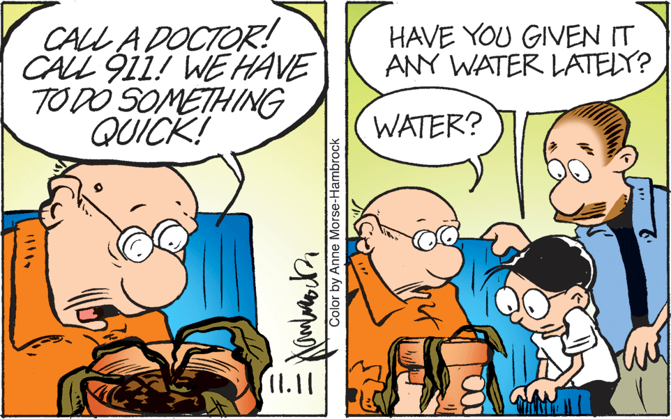 Font OCR: CALL A DOCTOR! CALL 911! WE HAVE TO DO SOMETHING QUICK! HAVE YOU GIVEN IT ANY WATER LATELY? WATER? I1.11 Color by Anne Morse-Hambrock CALL A DOCTOR! CALL 911! WE HAVE TO DO SOMETHING QUICK! HAVE YOU GIVEN IT ANY WATER LATELY? WATER? I1.11 Color by Anne Morse-Hambrock