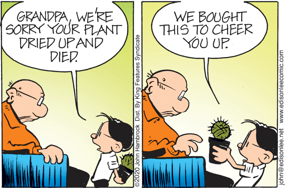 Happy OCR: GRANDPAWE'RE SORRY YOUR PLANT DRIED UP AND DIED. WE BOUGHT THIS TO CHEER YOU UP. ©2020 John Hambrock Dist. By King Features Syndicate john@edisonlee.net www.edisonleecomic.com GRANDPAWE'RE SORRY YOUR PLANT DRIED UP AND DIED. WE BOUGHT THIS TO CHEER YOU UP. ©2020 John Hambrock Dist. By King Features Syndicate john@edisonlee.net www.edisonleecomic.com