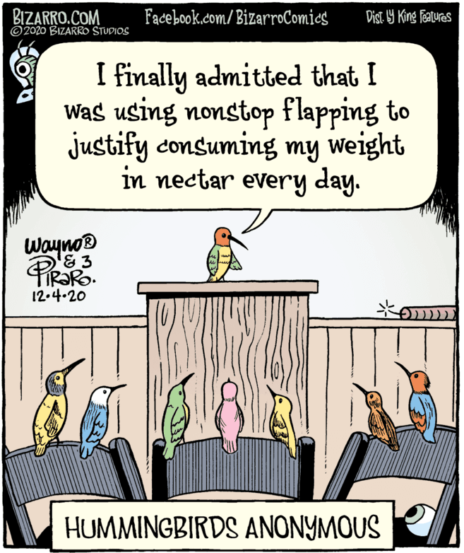 Parallel OCR: BIZARRO.COM ©2020 BIZARRO STUDIOS Facebook.com/BizarroComies Dist. 9 King Features I finally admitted that I Was using nonstop flapping to justify consuming my weight in nectar every day. Wayno® 12.4.20 HUMMINGBIRDS ANONYMOUS BIZARRO.COM ©2020 BIZARRO STUDIOS Facebook.com/BizarroComies Dist. 9 King Features I finally admitted that I Was using nonstop flapping to justify consuming my weight in nectar every day. Wayno® 12.4.20 HUMMINGBIRDS ANONYMOUS