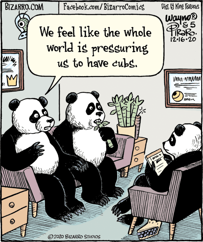 Humour OCR: BIZARRO.COM Facebook.com/BizarroComies Dist Y King features Wayno® PiRaRo We feel like the whole World is pressuring us to have cubs. 12.16.20 ©2020 BIZARRO STUDIOS BIZARRO.COM Facebook.com/BizarroComies Dist Y King features Wayno® PiRaRo We feel like the whole World is pressuring us to have cubs. 12.16.20 ©2020 BIZARRO STUDIOS