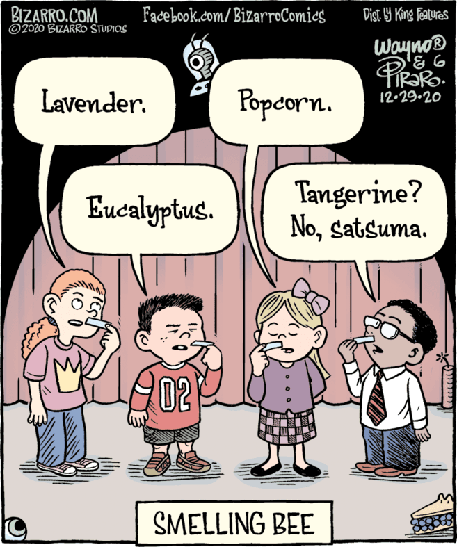 Interaction OCR: BIZARRO.COM Facebook.com/BizarroComics Dist Y King features © 2020 BIZARRO STUDIOS Wayno® Lavender. Popcorn. 12.29.20 Eucalyptus. Tangerine? Nosatsuma. 02 SMELLING BEE ???????p? BIZARRO.COM Facebook.com/BizarroComics Dist Y King features © 2020 BIZARRO STUDIOS Wayno® Lavender. Popcorn. 12.29.20 Eucalyptus. Tangerine? Nosatsuma. 02 SMELLING BEE ???????p?