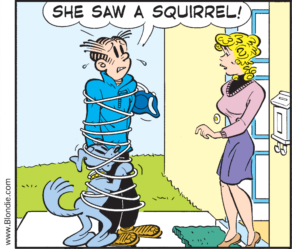 Cartoon OCR: SHE SAW A SQUIRREL! www.Blondie.com SHE SAW A SQUIRREL! www.Blondie.com