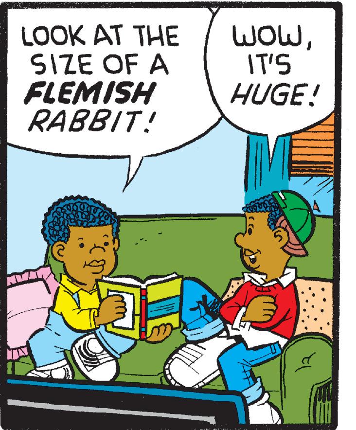 Interaction OCR: LOOK AT THE SIZE OF A FLEMISH RABBIT! WOWIT'S HUGE! LOOK AT THE SIZE OF A FLEMISH RABBIT! WOWIT'S HUGE!
