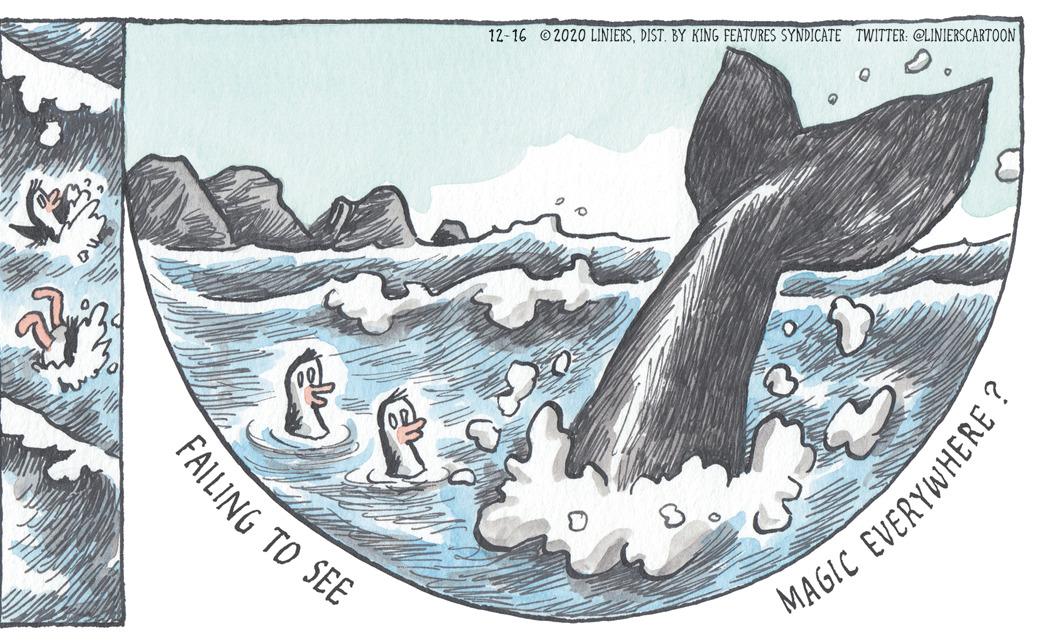 Marine biology OCR: 12-16 © 2020 LINIERSDIST. BY KING FEATURES SYNDICATE TWITTER: CLINIERSCARTOON FAILING TO SEE MAGIC EVERYWHERE ? 12-16 © 2020 LINIERSDIST. BY KING FEATURES SYNDICATE TWITTER: CLINIERSCARTOON FAILING TO SEE MAGIC EVERYWHERE ?