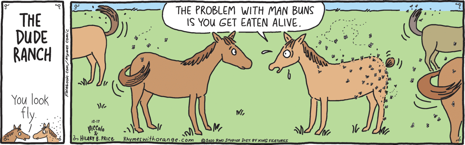 Sharing OCR: THE PROBLEM WITH MAN BUNS IS YOU GET EATEN ALIVE. THE DUDE RANCH You look M. 12-17 piccolo 2 HILARY B. PRIce Rhymes withorange.com O2020 RWo STupIas DIST. BY KING FEATURES symes comie THE PROBLEM WITH MAN BUNS IS YOU GET EATEN ALIVE. THE DUDE RANCH You look M. 12-17 piccolo 2 HILARY B. PRIce Rhymes withorange.com O2020 RWo STupIas DIST. BY KING FEATURES symes comie