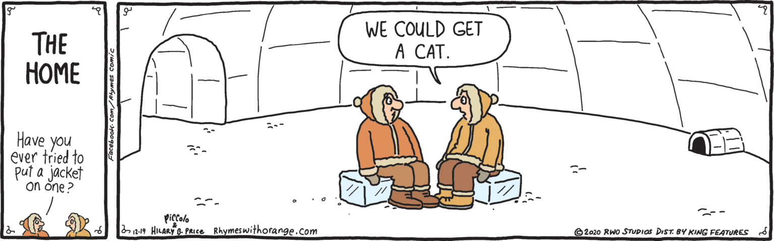 Handwriting OCR: THE ???? WE COULD GET A CAT. Have you ever tried to put a jacket on õne? piccolo ba-19 HILARYO PRIce Rhymeswithorange.com ©2020 RWo STUDIOS DIST. BY KING FEATURES d THE ???? WE COULD GET A CAT. Have you ever tried to put a jacket on õne? piccolo ba-19 HILARYO PRIce Rhymeswithorange.com ©2020 RWo STUDIOS DIST. BY KING FEATURES d