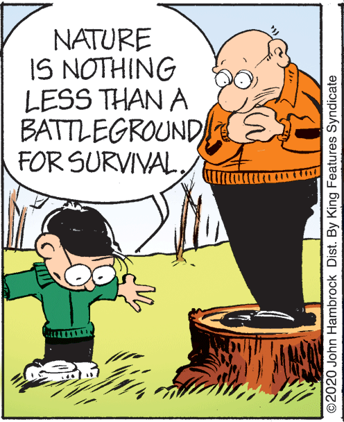 Illustration OCR: NATURE IS NOTHING LESS THAN A BATTLEGROUND FOR SURVIVAL©2020 John Hambrock Dist. By King Features Syndicate NATURE IS NOTHING LESS THAN A BATTLEGROUND FOR SURVIVAL©2020 John Hambrock Dist. By King Features Syndicate