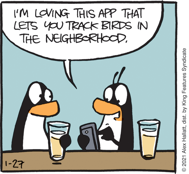 Flightless bird OCR: I'M LOVING THIS APP THAT LETS YOU TRACK BIRDS IN THE NEIGHBORHOOD1-27 © 2021 Alex Hallattdist. by King Features Syndicate I'M LOVING THIS APP THAT LETS YOU TRACK BIRDS IN THE NEIGHBORHOOD1-27 © 2021 Alex Hallattdist. by King Features Syndicate