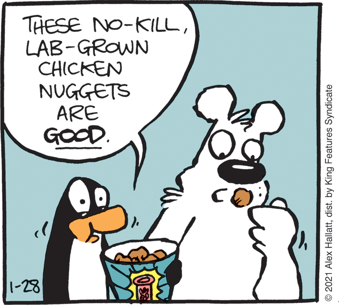 Fiction OCR: THESE NO-KILLLAB-GROWN CHICKEN NUGGETS ARE GOOD. 1-28 © 2021 Alex Hallattdist. by King Features Syndicate THESE NO-KILLLAB-GROWN CHICKEN NUGGETS ARE GOOD. 1-28 © 2021 Alex Hallattdist. by King Features Syndicate
