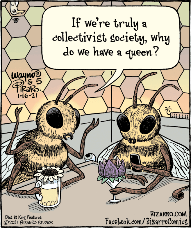 Bone OCR: If we're truly a collectivist societywhy do we have a queen? Waynos '& 5 1•16•21 Dist. b9 King Features ©2021 BIZARRO STUDIOS BIZARRO.COM Facebook.com/BizarroComies If we're truly a collectivist societywhy do we have a queen? Waynos '& 5 1•16•21 Dist. b9 King Features ©2021 BIZARRO STUDIOS BIZARRO.COM Facebook.com/BizarroComies