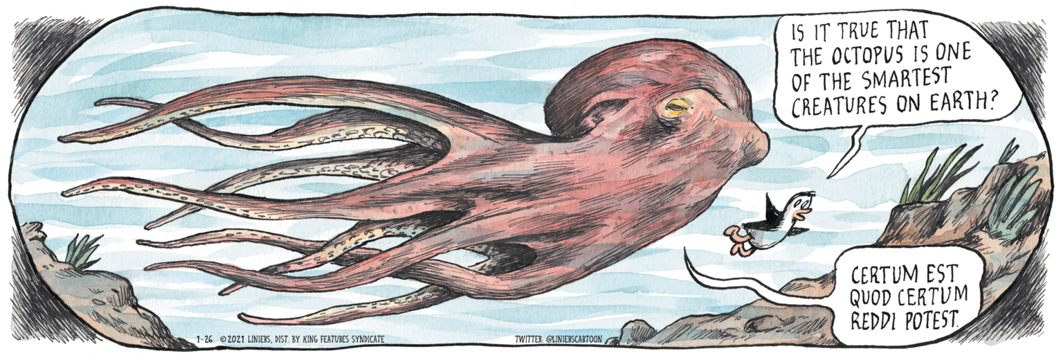 Cephalopod OCR: IS IT TRUE THAT THE OCTOPUS IS ONE OF THE SMARTEST CREATURES ON EARTH? CERTUM EST QUOD CERTUM REDDI POTEST 1-26 2021 LINIERSDIST. BY KIMG FEATUBES SYNDICATE TWITTER GLINIERSCARTOON IS IT TRUE THAT THE OCTOPUS IS ONE OF THE SMARTEST CREATURES ON EARTH? CERTUM EST QUOD CERTUM REDDI POTEST 1-26 2021 LINIERSDIST. BY KIMG FEATUBES SYNDICATE TWITTER GLINIERSCARTOON