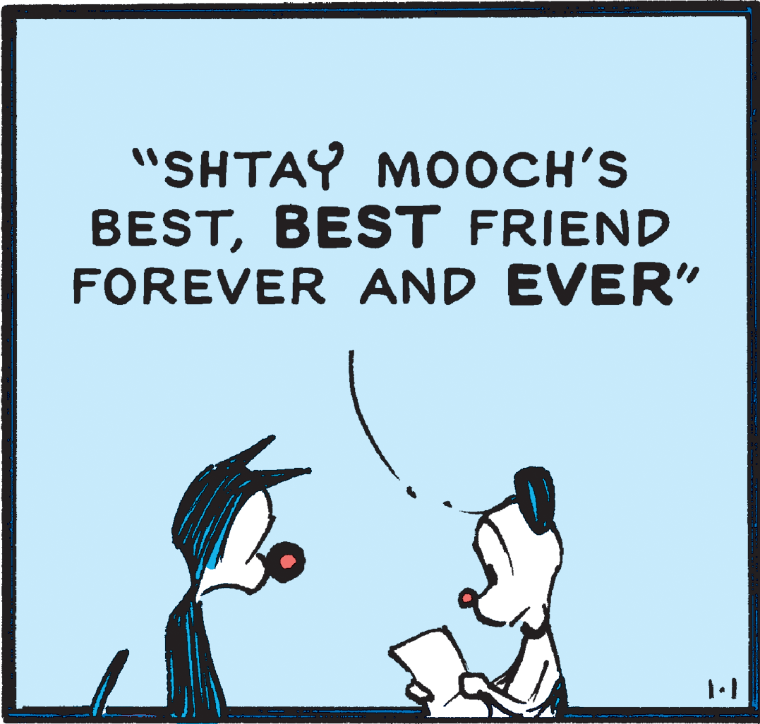 Hat OCR: "SHTAY MOOCH'S BESTBEST FRIEND FOREVER AND EVER" "SHTAY MOOCH'S BESTBEST FRIEND FOREVER AND EVER"