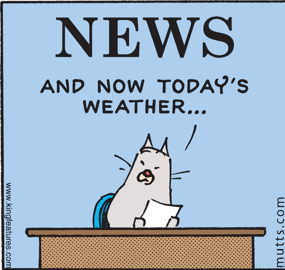 Drawing OCR: NEWS AND NOW TODAY'S WEATHER... Ad www.kingfeatures.com mutts.com NEWS AND NOW TODAY'S WEATHER... Ad www.kingfeatures.com mutts.com