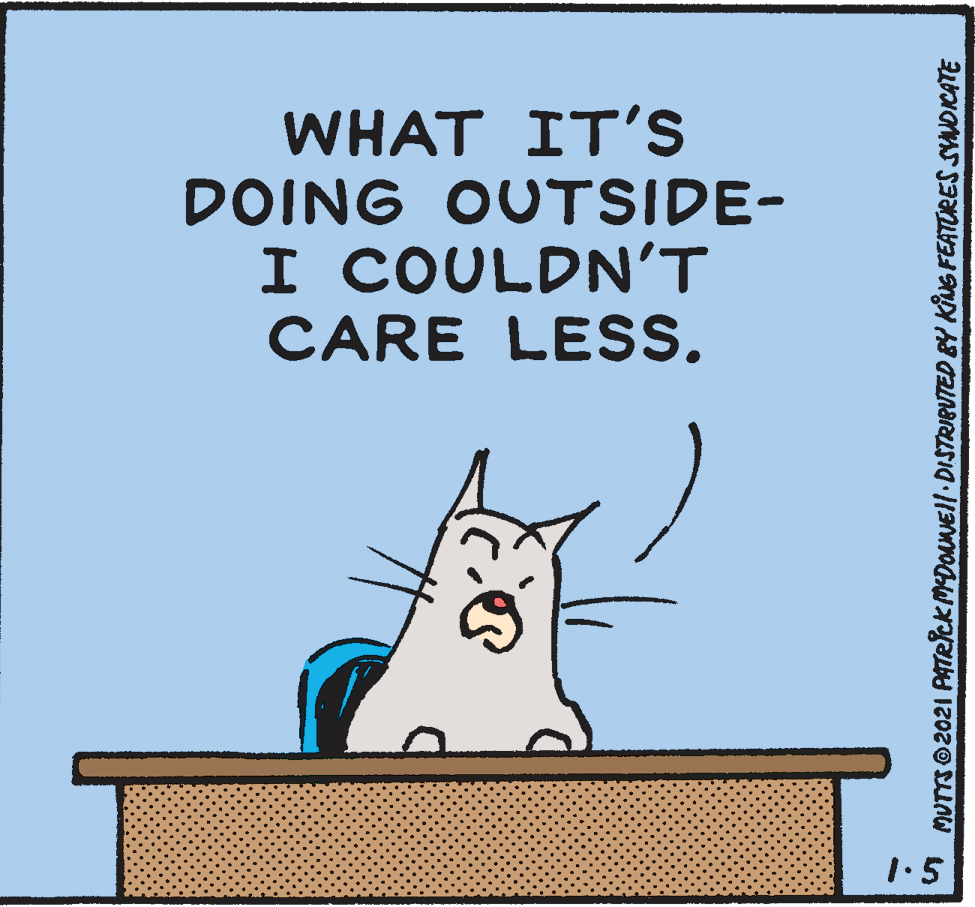 Art OCR: WHAT IT'Ss DOING OUTSIDE- I COULDN'T CARE LESS. 1.5 MUTTS2021 PATRICK MDONEI| DISTRIBUTED BY KING FEATURES SDCATE WHAT IT'Ss DOING OUTSIDE- I COULDN'T CARE LESS. 1.5 MUTTS2021 PATRICK MDONEI| DISTRIBUTED BY KING FEATURES SDCATE