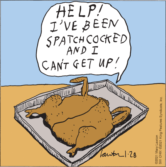 Cuisine OCR: HELP! I'VE BEEN SPATCH COCKED AND I CANT GET UP! Tawton I.28 ©2021 Mary Lawton SIX CHIX ©2021 King Features SyndicateInc. HELP! I'VE BEEN SPATCH COCKED AND I CANT GET UP! Tawton I.28 ©2021 Mary Lawton SIX CHIX ©2021 King Features Syndicate
