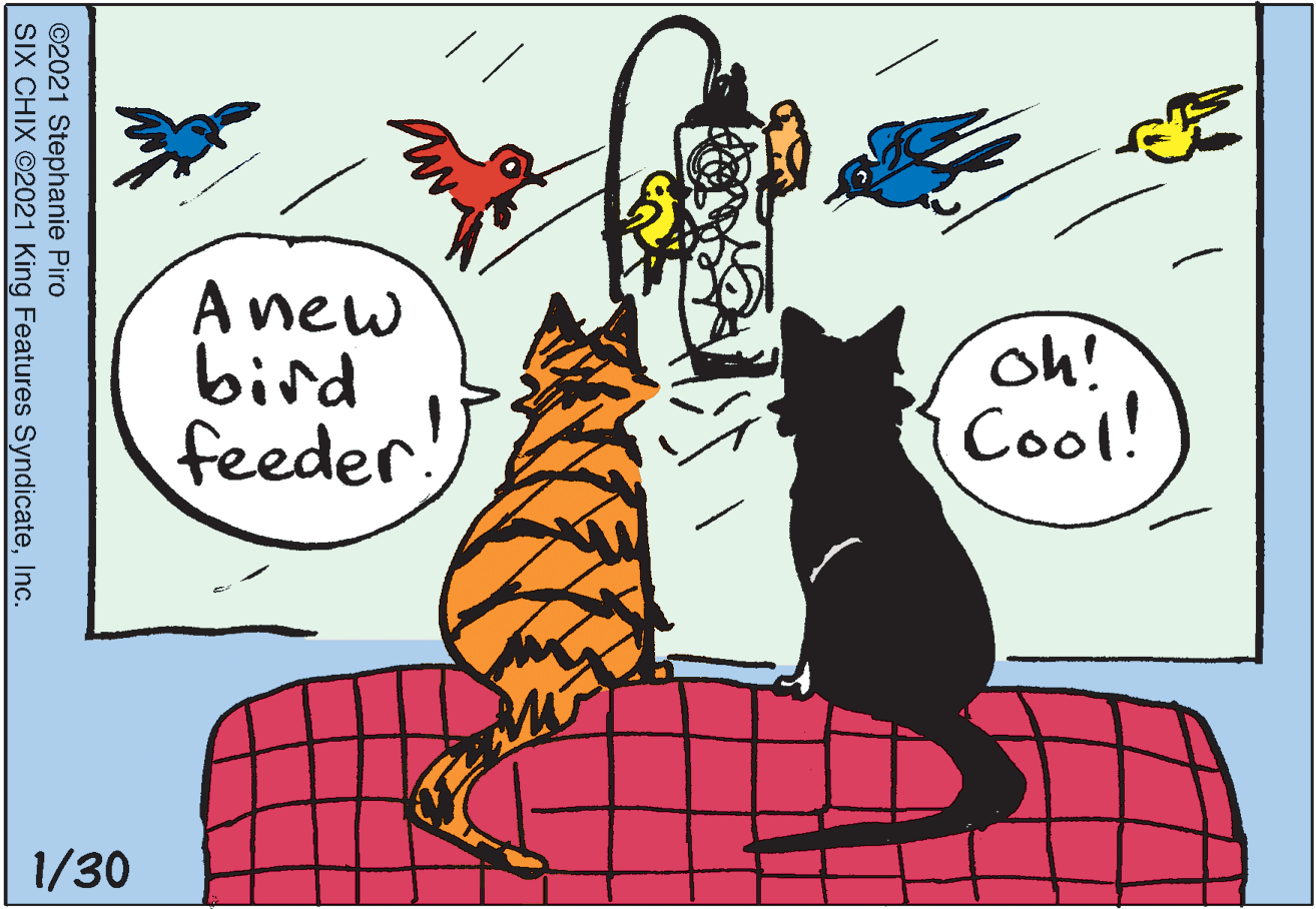 Line OCR: A new bird feeder! oh! Cool! 1/30 ©2021 Stephanie Piro SIX CHIX ©2021 King Features SyndicateInc. A new bird feeder! oh! Cool! 1/30 ©2021 Stephanie Piro SIX CHIX ©2021 King Features Syndicate