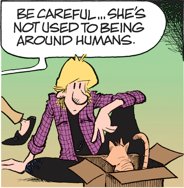 Fiction OCR: BE CAREFUL.SHE'S NOT USED TOBEING AROUND HUMANS. BE CAREFUL.SHE'S NOT USED TOBEING AROUND HUMANS.
