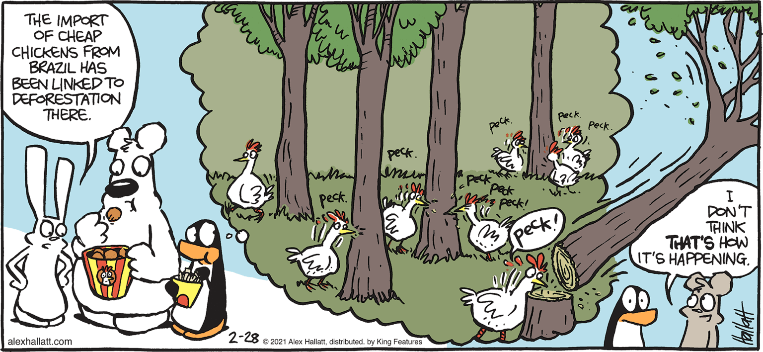 Tree OCR: ARCTIC GROE THE IMPORT OF CHEAP CHICKENS FROM BRAZIL HAS BEEN LINKED TO DEFORESTATION THERE. Peck. peck mur pect. Pecki DON'T TAINK THAT'S HOW IT'S HAPPENINGpeck BY ALEX HALLATT alexhallatt.com 2-28 e z021 Alex Hallattdistributed. by King Features ARCTIC GROE THE IMPORT OF CHEAP CHICKENS FROM BRAZIL HAS BEEN LINKED TO DEFORESTATION THERE. Peck. peck mur pect. Pecki DON'T TAINK THAT'S HOW IT'S HAPPENINGpeck BY ALEX HALLATT alexhallatt.com 2-28 e z021 Alex Hallattdistributed. by King Features