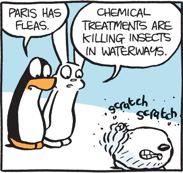 Gesture OCR: PARIS HAS FLEAS. CHEMICAL TREATMENTS ARE KILLING INSECTS IN WATERWAYS. gcratch PARIS HAS FLEAS. CHEMICAL TREATMENTS ARE KILLING INSECTS IN WATERWAYS. gcratch