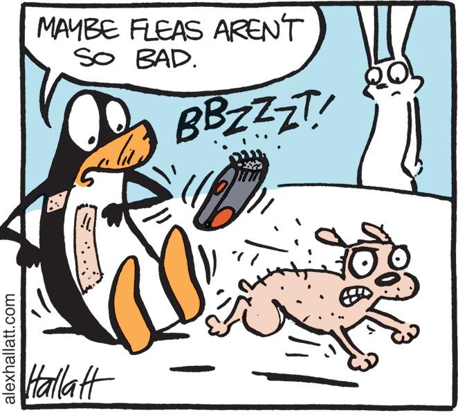 Handwriting OCR: MAYBE FLEAS ARENT SO BAD. BBZZZT! Hallatt alexhallatt.com MAYBE FLEAS ARENT SO BAD. BBZZZT! Hallatt alexhallatt.com