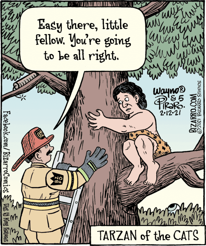 Art OCR: Easy therelittle fellow. You're going iw to be all right. ww Wayno® 2-12.21 NO TARZAN of the CATS Facebook.com/BizarroComies Dist 9 King Features BIZARRO.COM ©2021 BIZARRO STUDIOS Easy therelittle fellow. You're going iw to be all right. ww Wayno® 2-12.21 NO TARZAN of the CATS Facebook.com/BizarroComies Dist 9 King Features BIZARRO.COM ©2021 BIZARRO STUDIOS
