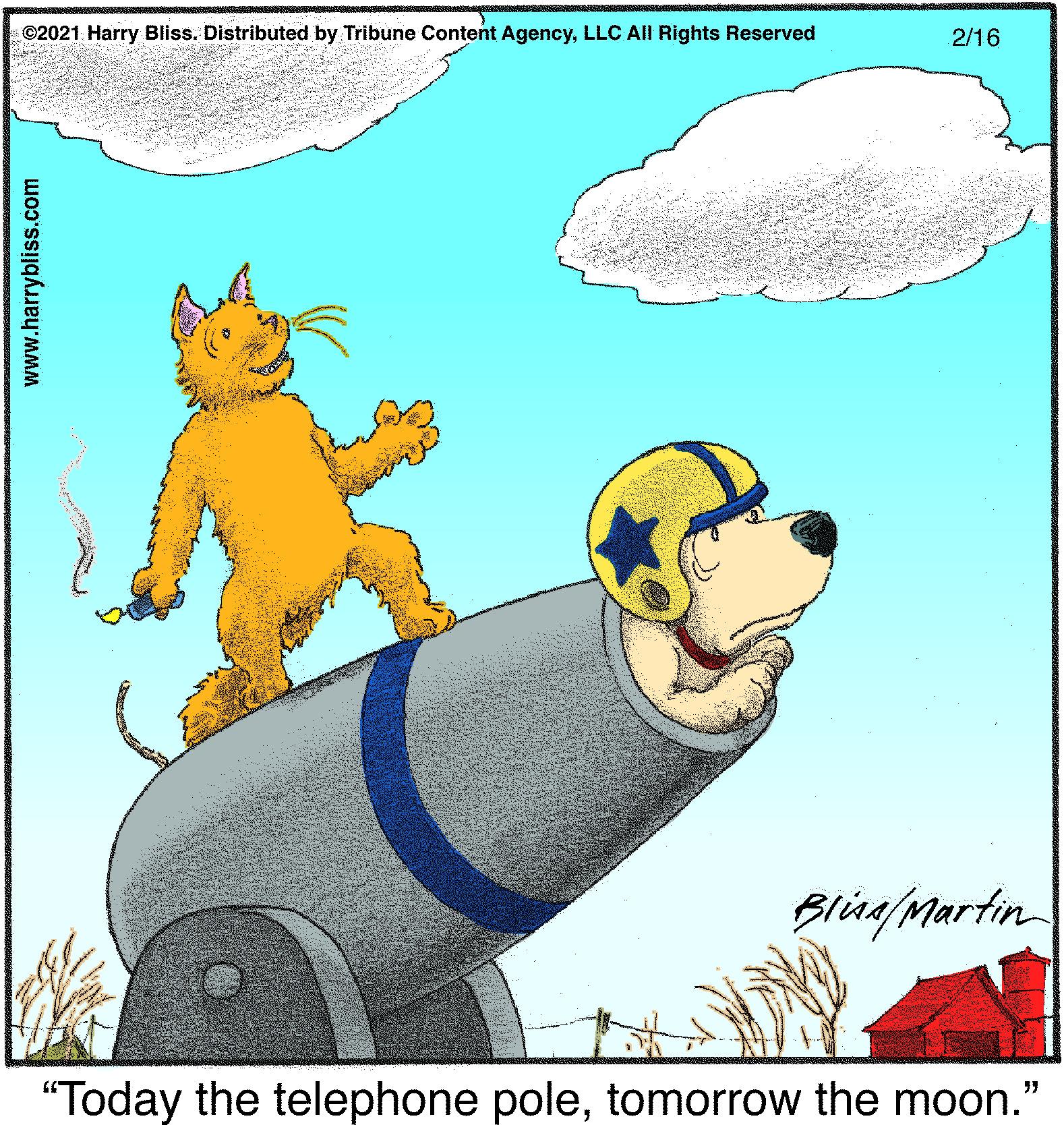 Snout OCR: ©2021 Harry Bliss. Distributed by Tribune Content AgencyLLC All Rights Reserved 2/16 Blna/Martin "Today the telephone poletomorrow the moon." www.harrybliss.com ©2021 Harry Bliss. Distributed by Tribune Content AgencyLLC All Rights Reserved 2/16 Blna/Martin "Today the telephone poletomorrow the moon." www.harrybliss.com