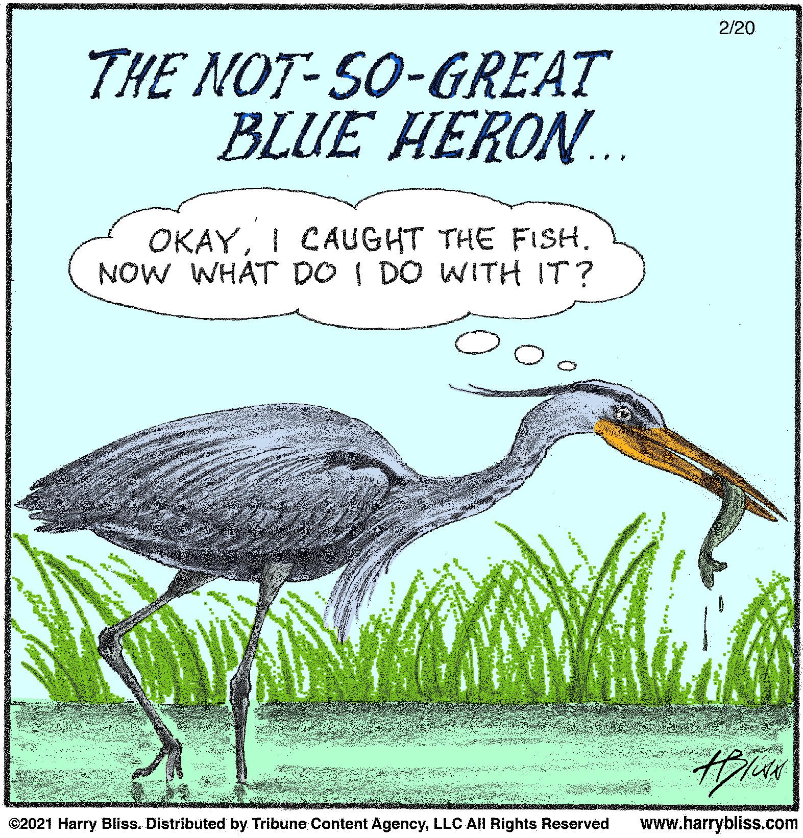 Adaptation OCR: 2/20 THE NOT-SO-GREAT BLUE HERON. OKAYNOW WHAT DO I DO WITH IT? ©2021 Harry Bliss. Distributed by Tribune Content AgencyLLC All Rights Reserved www.harrybliss.com 2/20 THE NOT-SO-GREAT BLUE HERON. OKAYI CAUGHT THE FISHNOW WHAT DO I DO WITH IT? ©2021 Harry Bliss. Distributed by Tribune Content AgencyLLC All Rights Reserved www.harrybliss.com