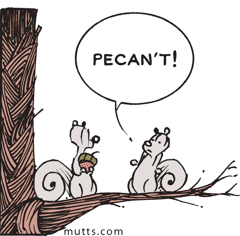 Line OCR: PECAN'T! mutts.com PECAN'T! mutts.com