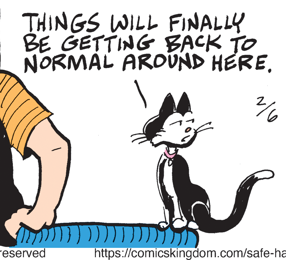 Carnivore OCR: THINGS WILL FINALLY BE GETTING BACK TO NORMAL AROVND HERE. reserved https://comicskingdom.com/safe-ha THINGS WILL FINALLY BE GETTING BACK TO NORMAL AROVND HERE. reserved https://comicskingdom.com/safe-ha
